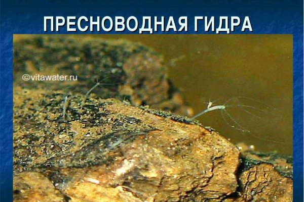 Что случилось с кракеном маркетплейс